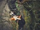 Mini Motosierra GTA 40 Stihl Podadora Profesional - Kit con 2 baterías, cargador y maletín - STIHL